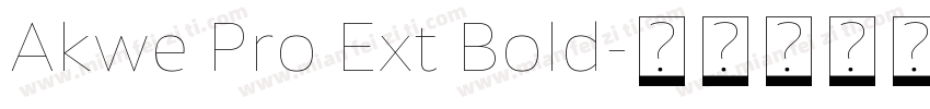 Akwe Pro Ext Bold字体转换